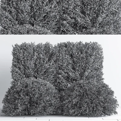 Bush02 — Ver 3