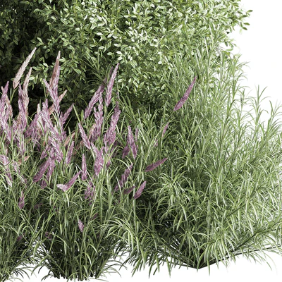 mixed plant and bush 01 — Ver 5
