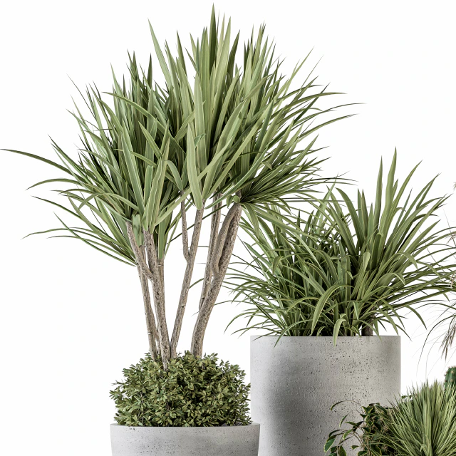 Outdoor Plant Set 233 - Plant in Pot Set — Descargar