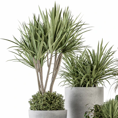 Outdoor Plant Set 233 - Plant in Pot Set — Ver 3