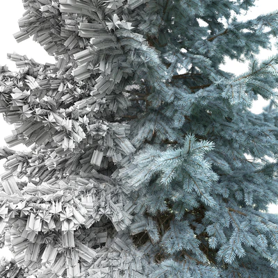 Spruce — Ver 3