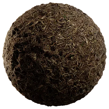 dried grass 006 — Скачать