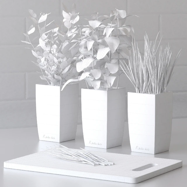 Plants for the kitchen — Descargar