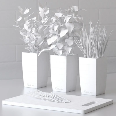 Plants for the kitchen — Ver 2