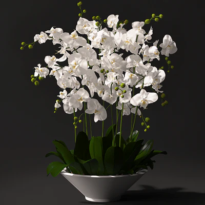 Orchid arrangement — Вид 1