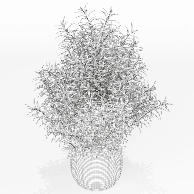 Plants collection 167 — Descargar