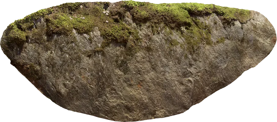 mossy rock face 001 — Скачать