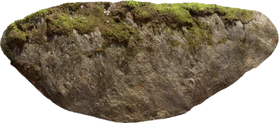 mossy rock face 001 — Скачать