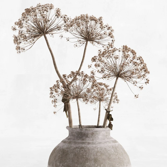 Hogweed in a clay vase — Descargar