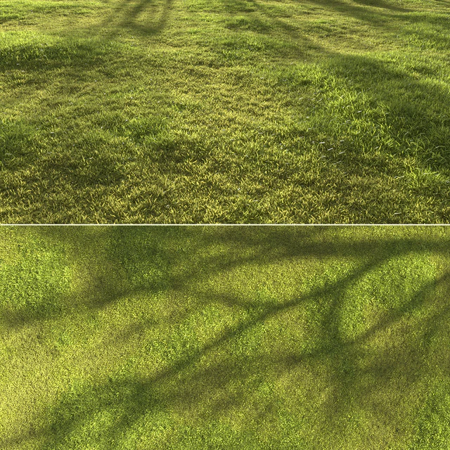 Garden grass — Descargar