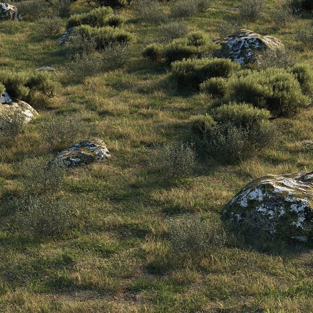forest landscape — Descargar