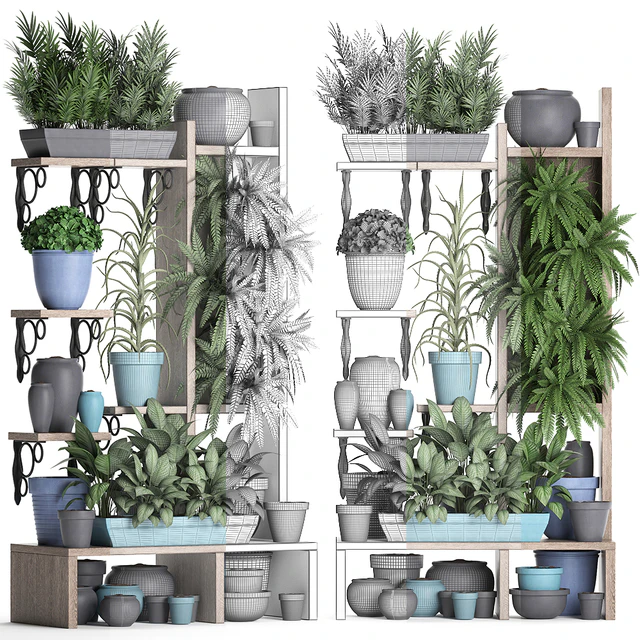 Plant Collection 367. Shelf with plants, fern, flowerpot, greenery, vertical garden, phytowall, phytomodule, pots, eco design — Descargar