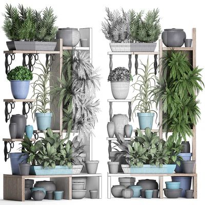 Plant Collection 367. Shelf with plants, fern, flowerpot, greenery, vertical garden, phytowall, phytomodule, pots, eco design — Ver 3