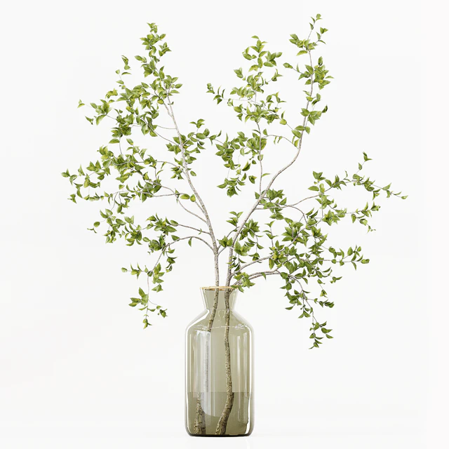 Collection Indoor Plants 016 — Descargar