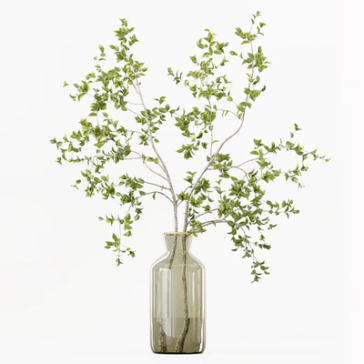 Collection Indoor Plants 016 — Ver 5