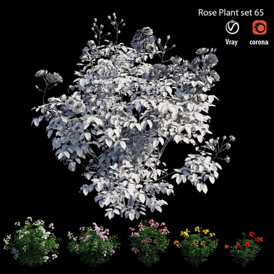 Rose plant set 65 — Ver 5