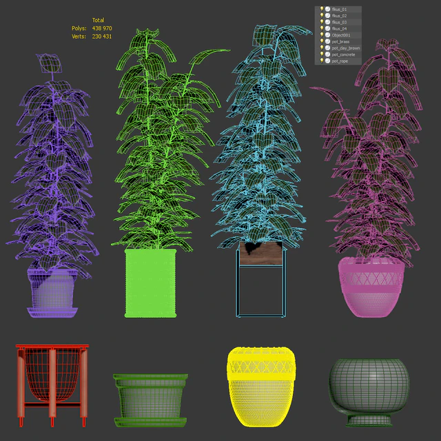 Ficuses in pots — Descargar