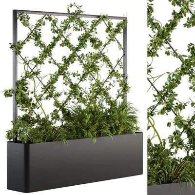 Vertical Garden - Outdoor Green Wall 39 — Вид 1