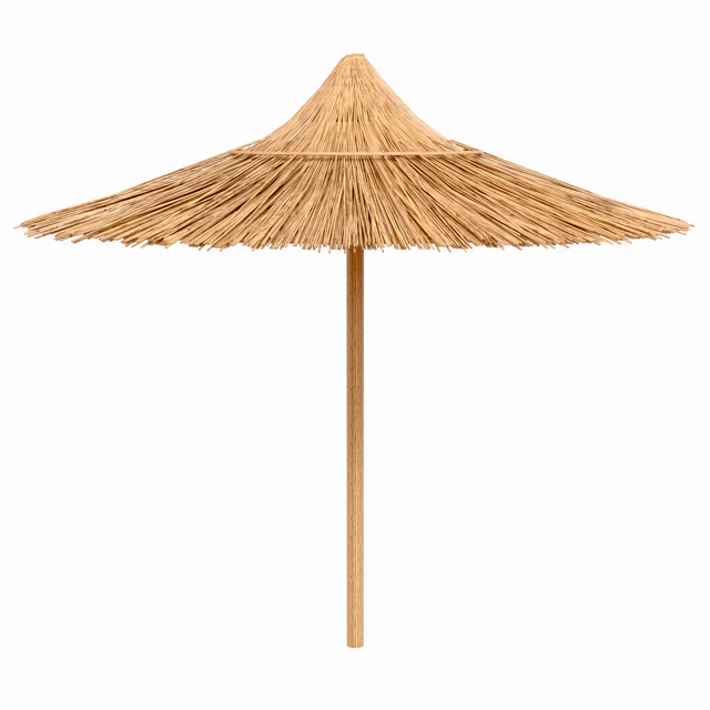 bamboo beach umbrella — Descargar