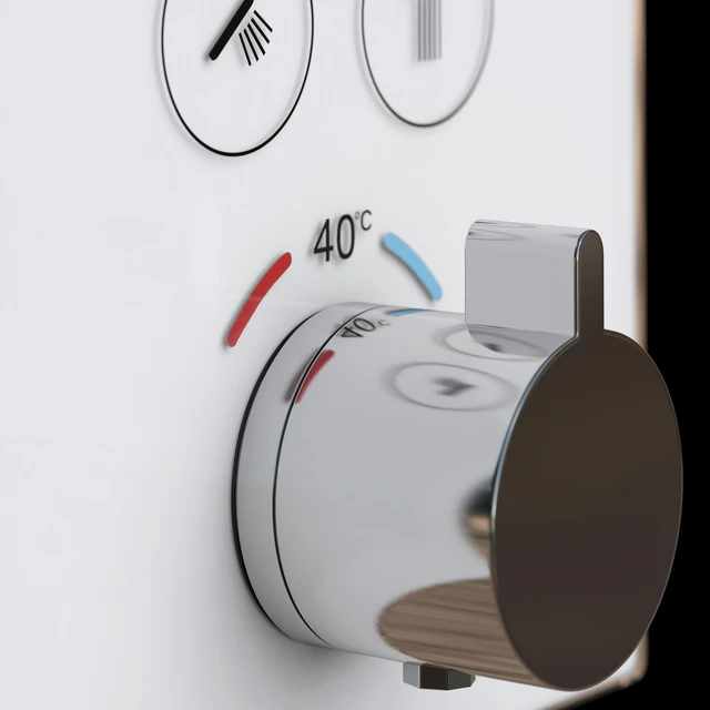 Hansgrohe ShowerSelect Thermostat — Descargar