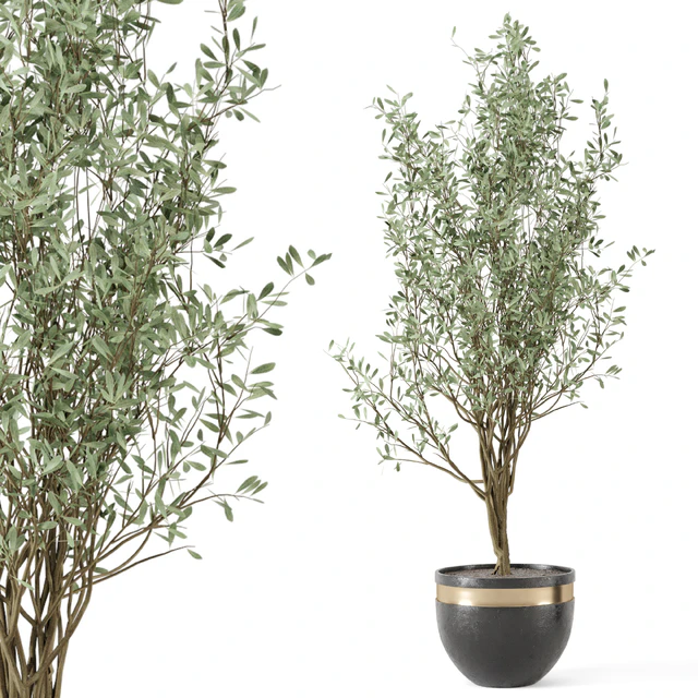 Outdoor bush and Tree in rusty Concrete Pot - Set 204 — Descargar