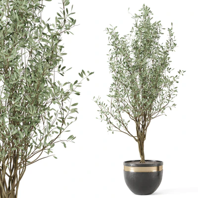 Outdoor bush and Tree in rusty Concrete Pot - Set 204 — Ver 4