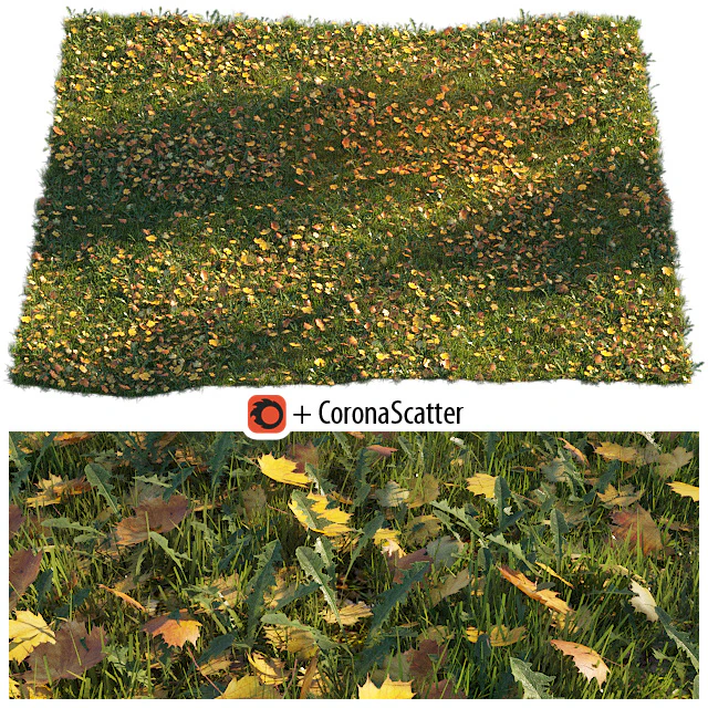 Lawn with dry maple leaves — Descargar