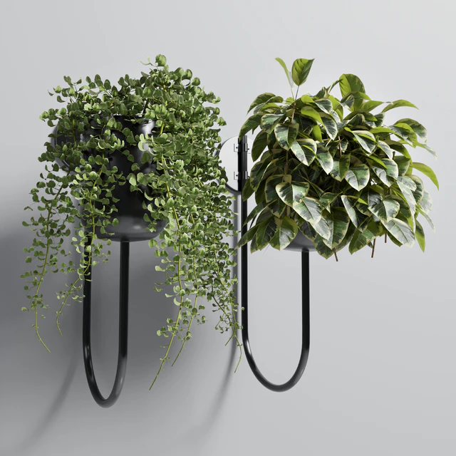 collection Indoor plant 101 vase metal stand wall plant — Descargar