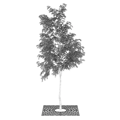 Street Tree 01 — Вид 3