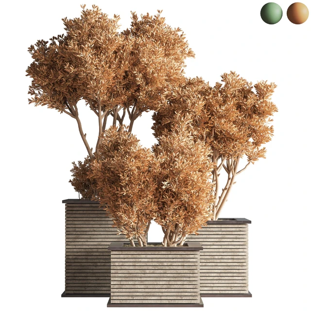 Outdoor Plants tree 22 — Descargar