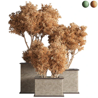 Outdoor Plants tree 22 — Ver 7