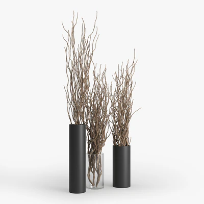 Dry Branch — Ver 6