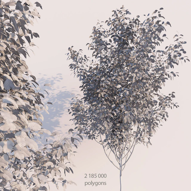 Young Tree — Скачать