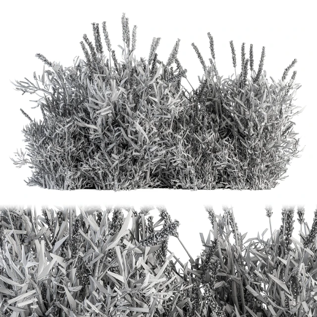 Lavender Bush - Bush Set20 — Скачать