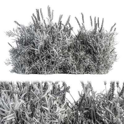 Lavender Bush - Bush Set20 — Вид 4