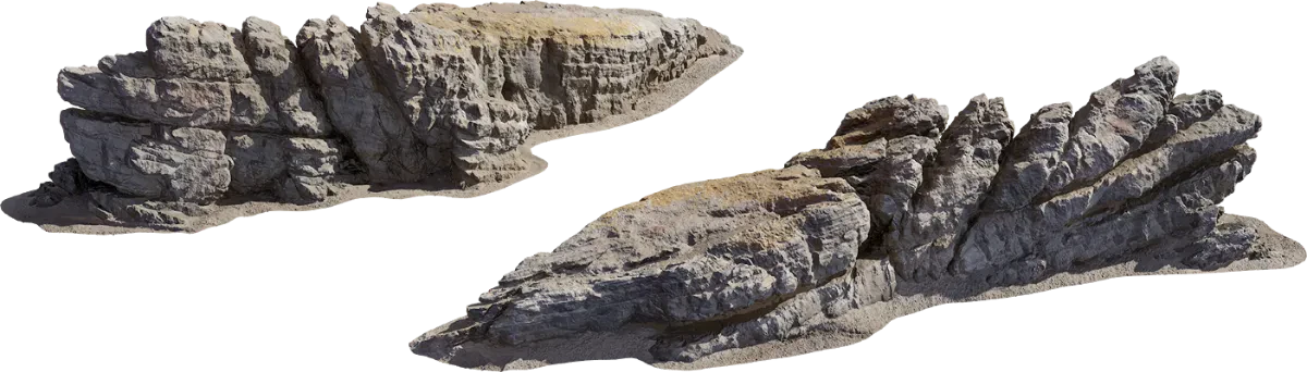 coast africanbeach formation lichen l 001 — Descargar