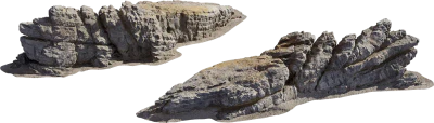 coast africanbeach formation lichen l 001 — Descargar