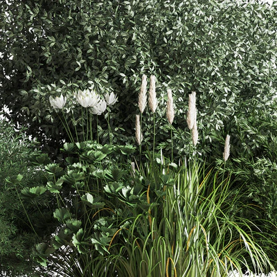 Bush04 — Вид 4