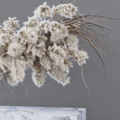 INDOOR DRIED FLOWERS / pampas grass — Ver 3