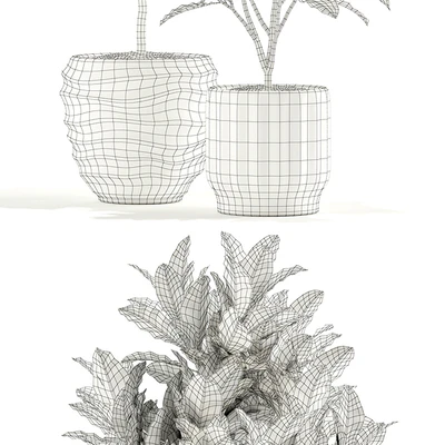 Plants collection 120 — Вид 2