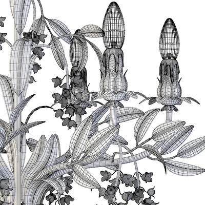 Passeri International — Ver 2