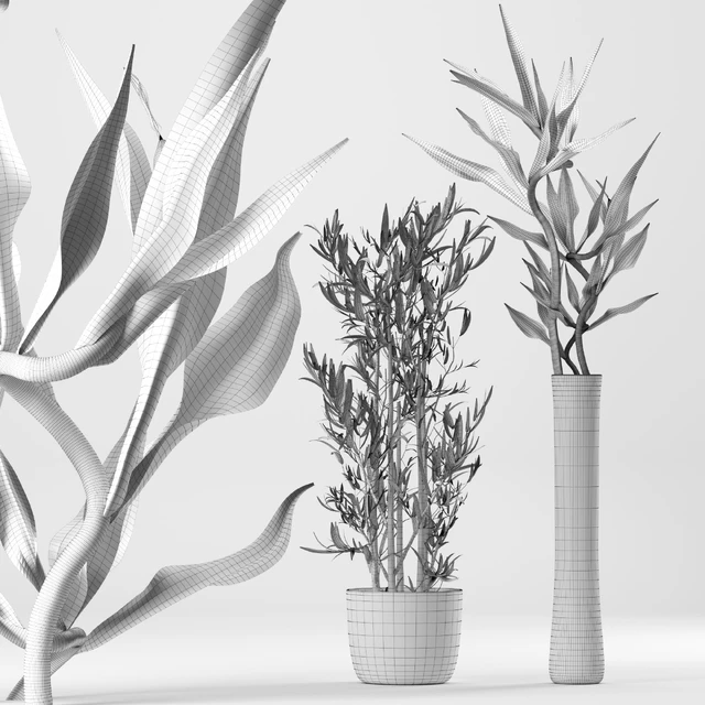 Bamboo Indoor Plant Set — Descargar