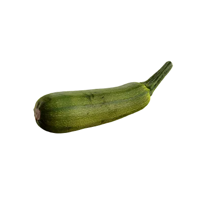 ridged gourd 001 — Download