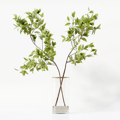 Collection Indoor Plants 058 — Ver 5