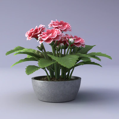 Gloxinia Flower in a pot — Ver 2