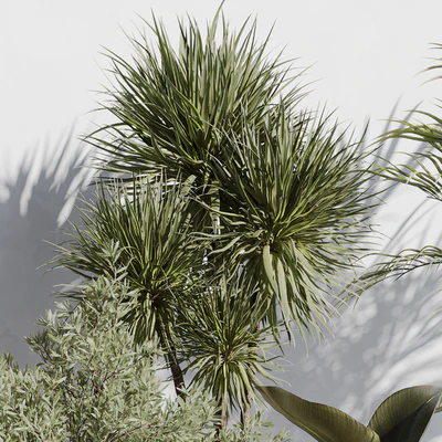 indoor plant set 72 — Ver 5