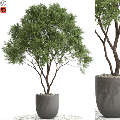 Plants collection 670 — Ver 1