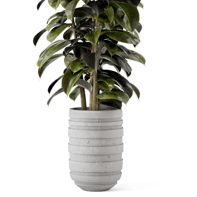 Indoor Plants  in rusty Concrete Pot - Set 549 — Вид 5