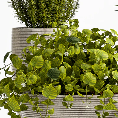 Plant 57 — Ver 3