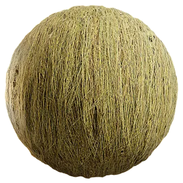 grass dried 070 — Скачать